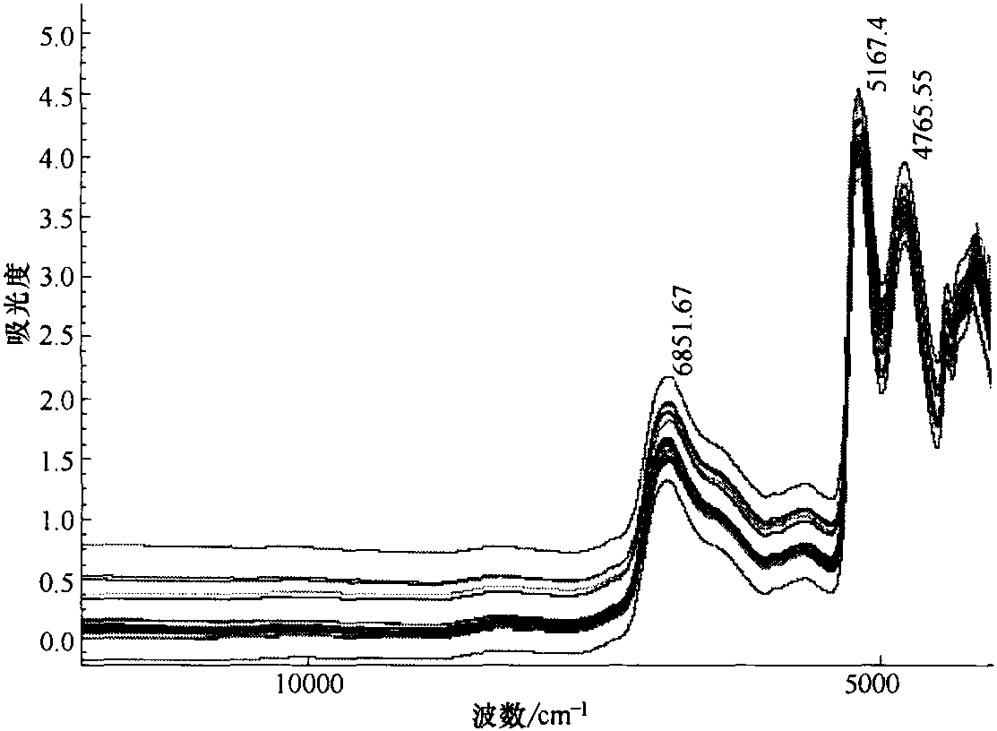 三、產(chǎn)地對近紅外光譜響應(yīng)特性的影響